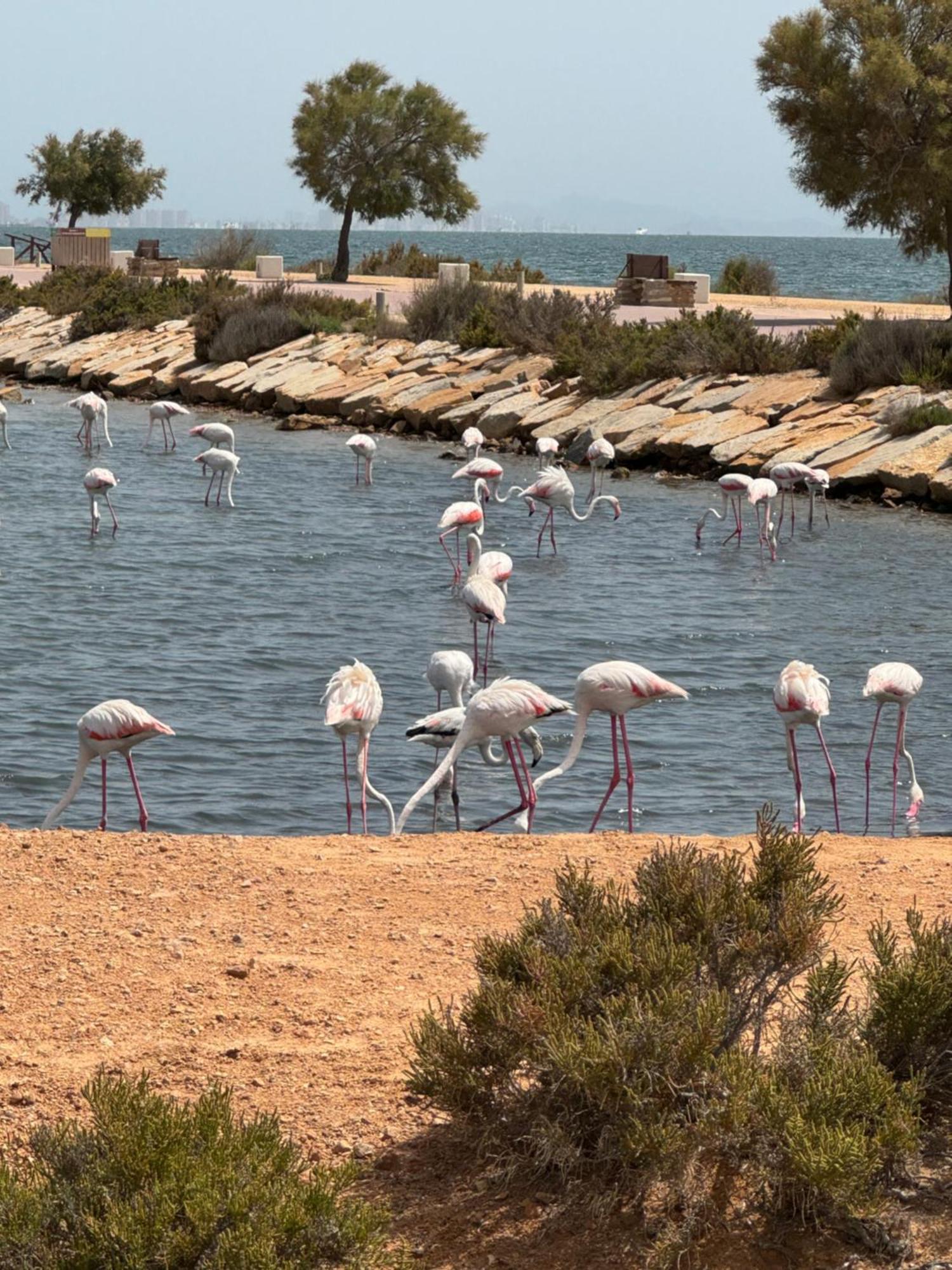 Nita Villa Altaona Golf Mosa Turquesa Banos y Mendigo Dış mekan fotoğraf